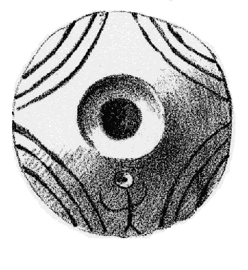 A spindle whorl from ancient Troy as depicted in Troy and Its Remains by Heinrich Schliemann and published by Symbolon Press